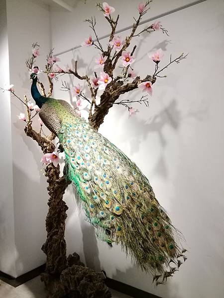 image012.jpg image012.jpg