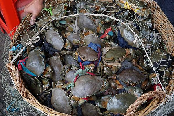 柬埔寨實地投資考察【海外不動產投資】【海外房地產投資】【柬埔寨金邊投資】【柬埔寨金邊房地產】【柬埔寨金邊不動產】