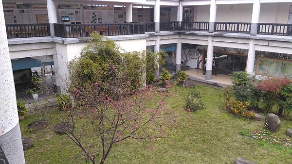 P_20170309_164410.jpg P_20170309_164410.jpg