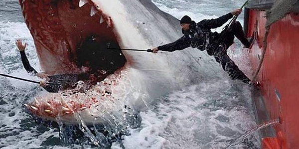 擷取02.PNG 擷取02.PNG