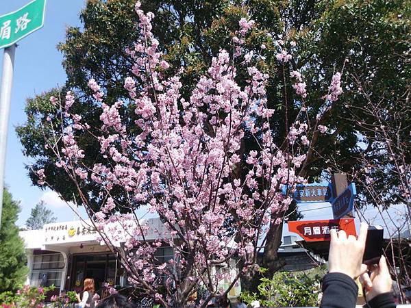 IMG_0036 IMG_0036