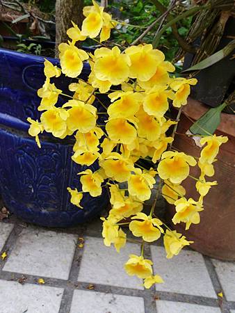IMG_0141 IMG_0141
