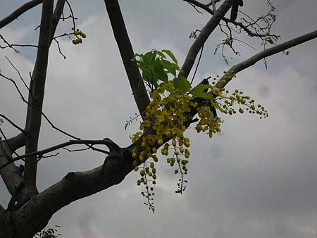 IMG_0282 IMG_0282