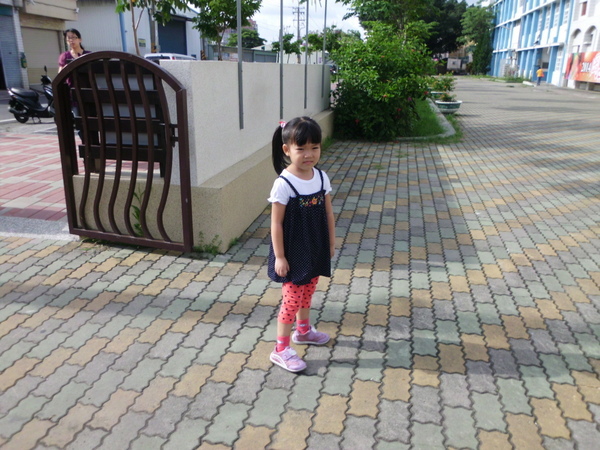 IMG_0329 IMG_0329