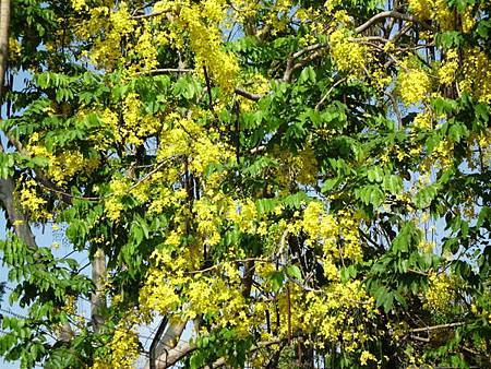 IMG_0019 IMG_0019