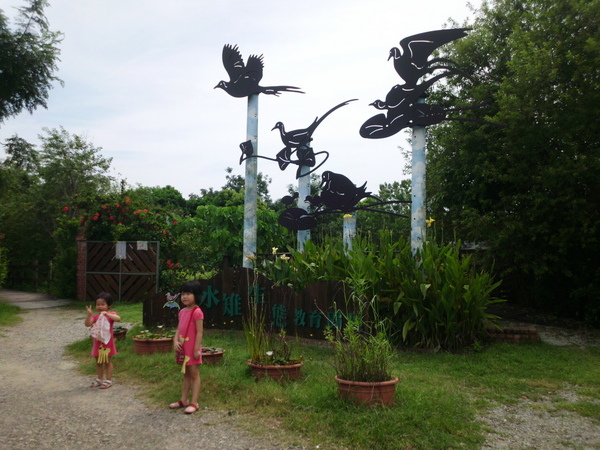 IMG_0071 IMG_0071