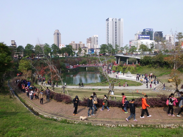 IMG_0001 IMG_0001