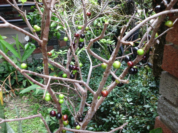 IMG_1678 IMG_1678