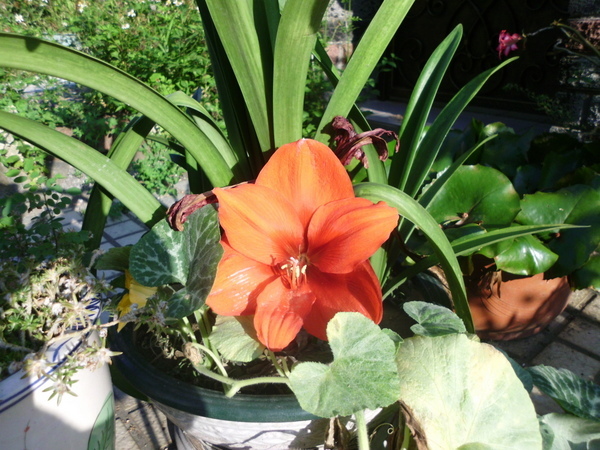 IMG_2780 IMG_2780