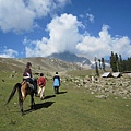 IMG_3636.jpg