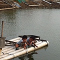 20121028 兩兄弟在竹筏上很認真的亂掏一通(哈)