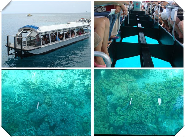 glass bottom boat.jpg