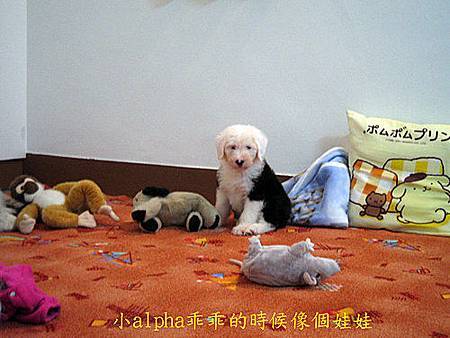 alpha 2006 2 alpha 2006 2
