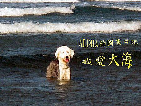 alpha in sea