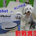 alpha vs irobot.jpg