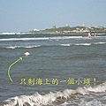 海上的小頭.jpg