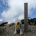 合歡山東峰