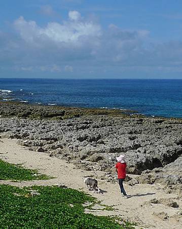 P1250242.JPG P1250242.JPG