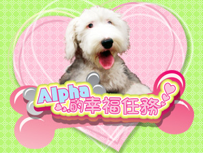 momo newdog-b.jpg momo newdog-b.jpg
