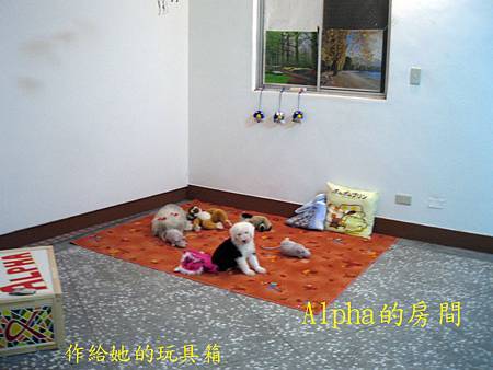 IMG_0499 s.jpg IMG_0499 s.jpg