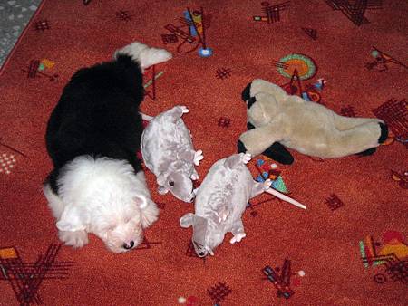 IMG_0524 s.jpg IMG_0524 s.jpg