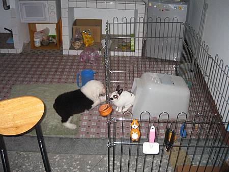 IMG_0532 s.jpg IMG_0532 s.jpg