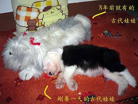 IMG_0566 s.jpg IMG_0566 s.jpg