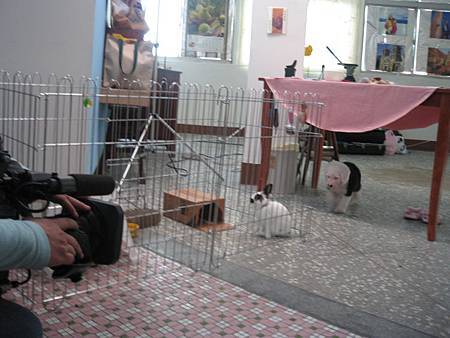 IMG_0589 s.jpg IMG_0589 s.jpg