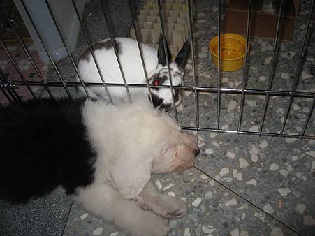 IMG_0672.JPG IMG_0672.JPG