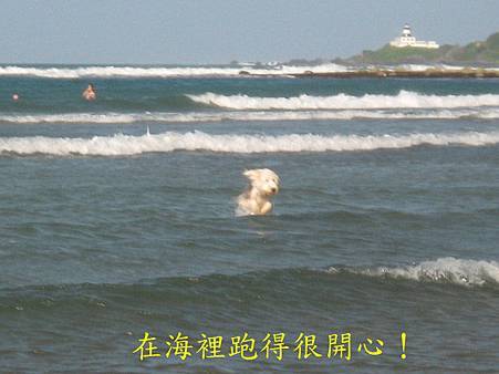 IMG_2759.JPG IMG_2759.JPG