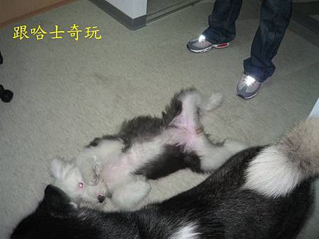 IMG_2722.JPG IMG_2722.JPG
