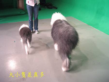 IMG_2723.JPG IMG_2723.JPG