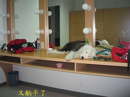 IMG_2736.JPG IMG_2736.JPG