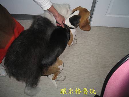 IMG_2739.JPG IMG_2739.JPG