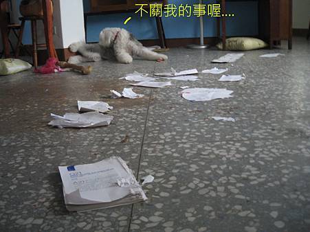 IMG_0414.JPG IMG_0414.JPG