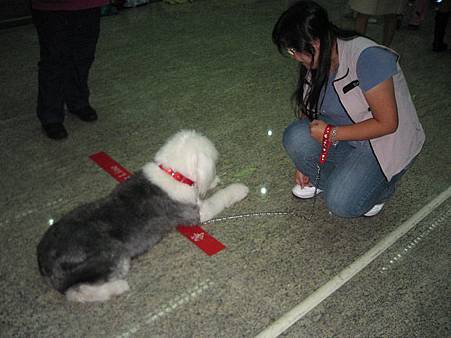 IMG_9557.JPG IMG_9557.JPG