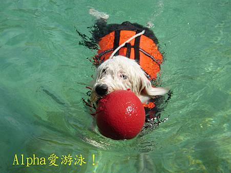IMG_9493.JPG IMG_9493.JPG