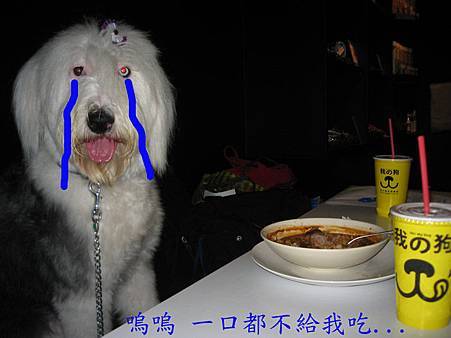 IMG_9613.JPG IMG_9613.JPG