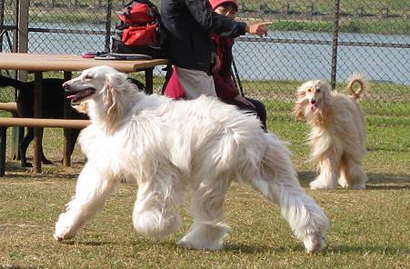 IMG_0217.JPG IMG_0217.JPG