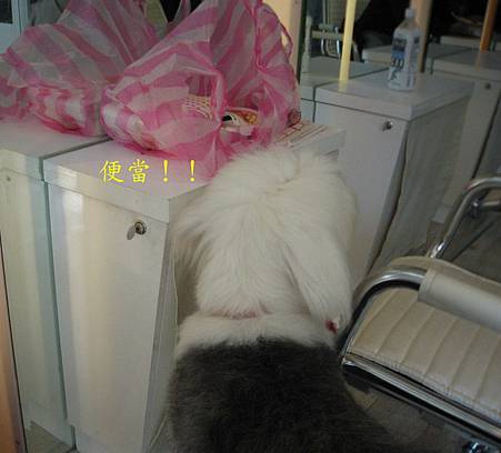 IMG_9752.JPG IMG_9752.JPG