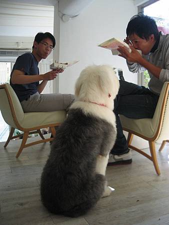 IMG_9757.JPG IMG_9757.JPG