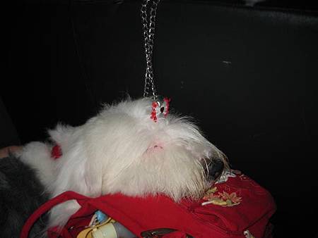 IMG_9411.JPG IMG_9411.JPG