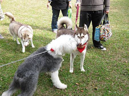 IMG_0349.JPG IMG_0349.JPG