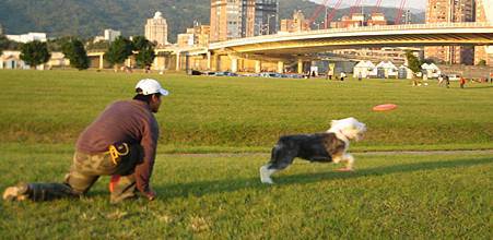IMG_9912.JPG IMG_9912.JPG