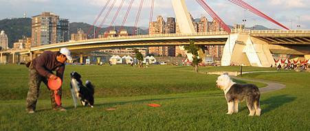 IMG_9918.JPG IMG_9918.JPG
