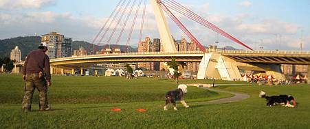 IMG_9920.JPG IMG_9920.JPG