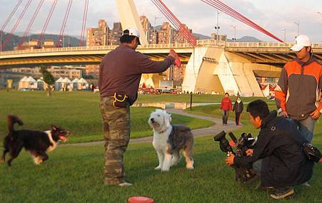 IMG_9924.JPG IMG_9924.JPG