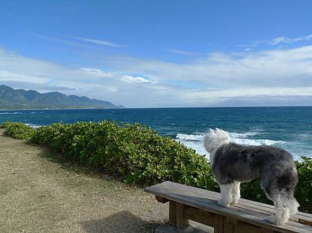 P1070350.JPG P1070350.JPG