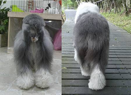 before and after H s.jpg before and after H s.jpg