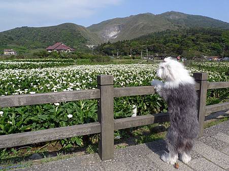 P1080440.JPG P1080440.JPG